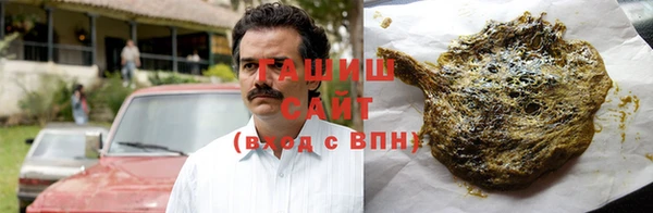 стаф Верея