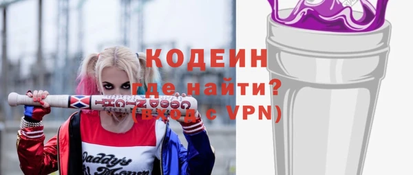 стаф Верея