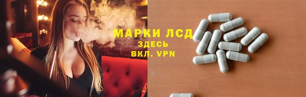 стаф Верея