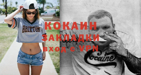 стаф Верея