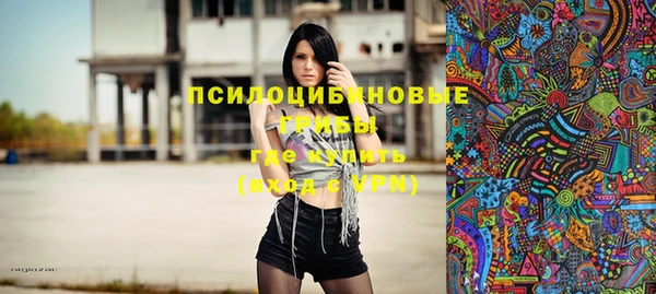 стаф Верея