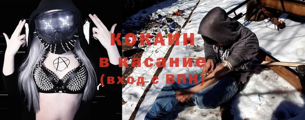 стаф Верея