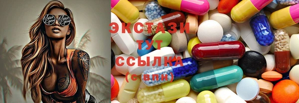 стаф Верея