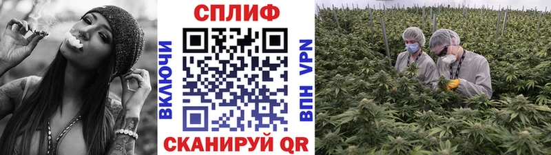 Марихуана планчик  Купить  Удомля 
